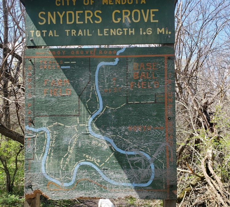 Snyder Grove Park (Mendota,&nbspIL)